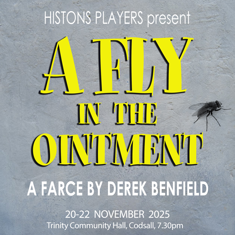 A Fly in the Ointment by Derek Benfield